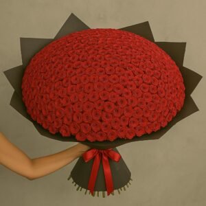 900 Rosas Vermelhas