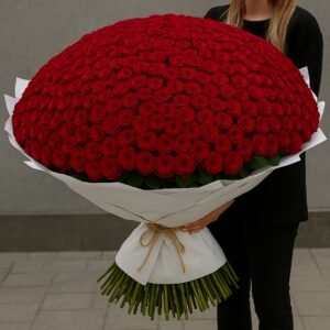 1000 Rosas Vermelhas
